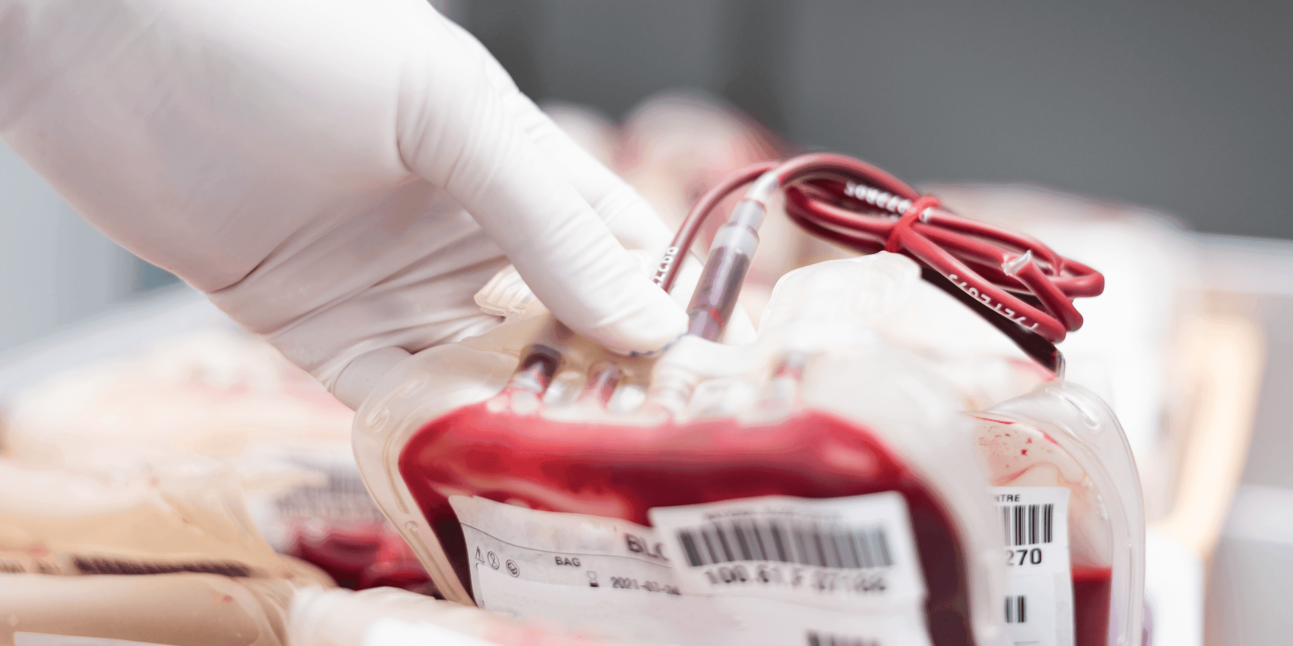 the 2024 blood donation shortage and solutions